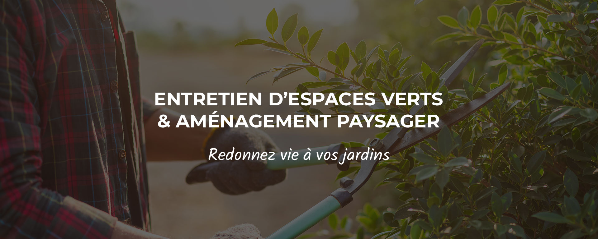 Aménagement jardin sur mesure Rixheim
